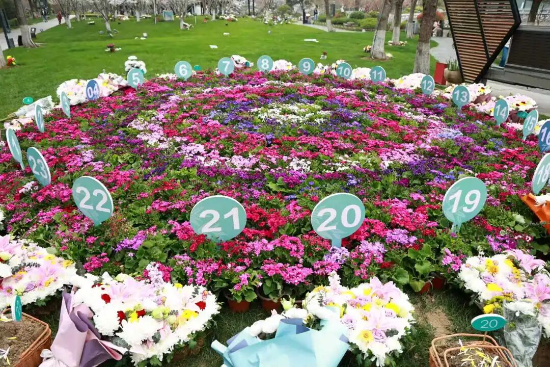 1775116454106042591.jpg 1221.jpg